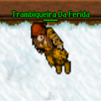 Trambiqueira da Ferida